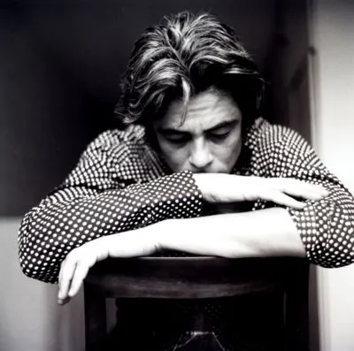 Benicio del Toro 6x6