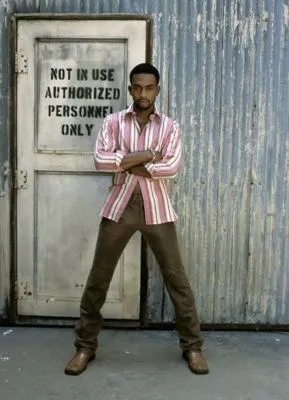 Bill Bellamy Poster