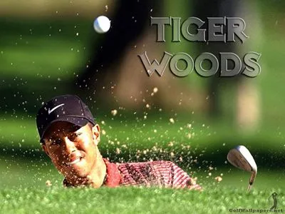 Tiger Woods 11oz Colored Rim & Handle Mug