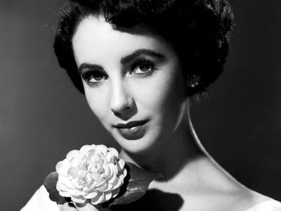 Elizabeth Taylor Metal Wall Art