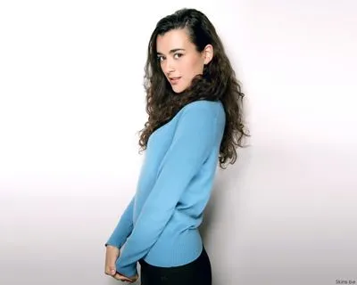 Cote De Pablo Metal Wall Art