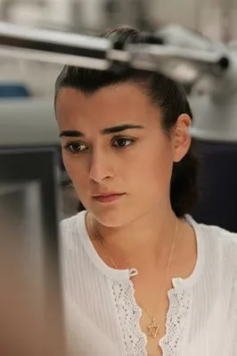 Cote De Pablo Color Changing Mug