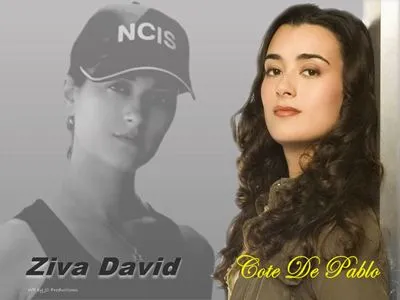 Cote De Pablo 14x17