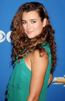 Cote De Pablo Color Changing Mug