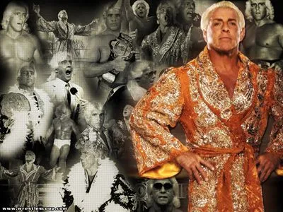 Ric Flair Men's TShirt