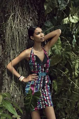 Chanel Iman Apron