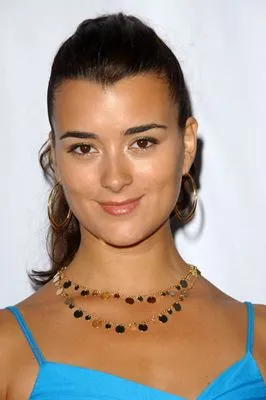 Cote De Pablo 14x17