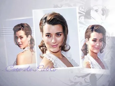 Cote De Pablo 12x12