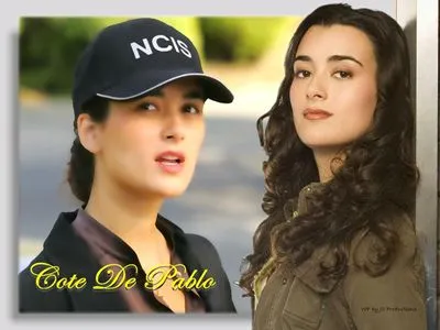 Cote De Pablo Color Changing Mug