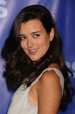 Cote De Pablo Pillow