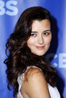 Cote De Pablo Color Changing Mug