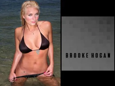 Brooke Hogan Metal Wall Art