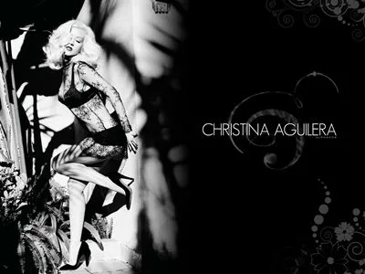 Christina Aguilera Stainless Steel Water Bottle