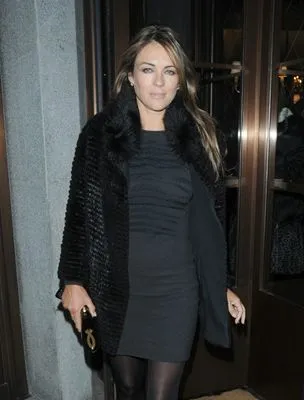 Elizabeth Hurley Tote