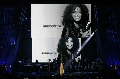 Whitney Houston Apron