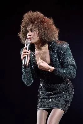 Whitney Houston 11oz Metallic Silver Mug