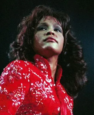 Whitney Houston 14x17