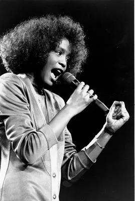 Whitney Houston 14x17