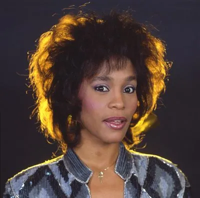 Whitney Houston 12x12