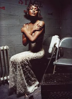 Whitney Houston 12x12