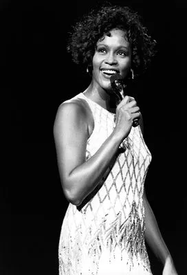 Whitney Houston 14x17