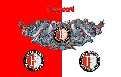 Feyenoord 14x17