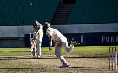 Brett Lee Poster