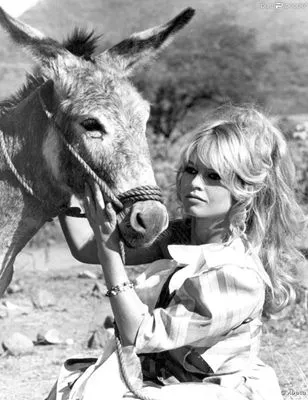 Brigitte Bardot White Water Bottle With Carabiner