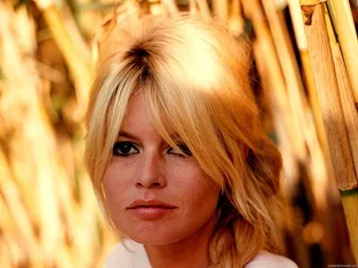 Brigitte Bardot Poster