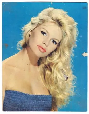 Brigitte Bardot Stainless Steel Water Bottle