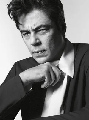 Benicio del Toro Tote