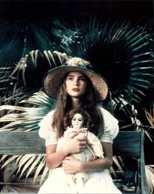 Brooke Shields Poster