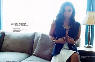 Danielle Nicolet Prints and Posters