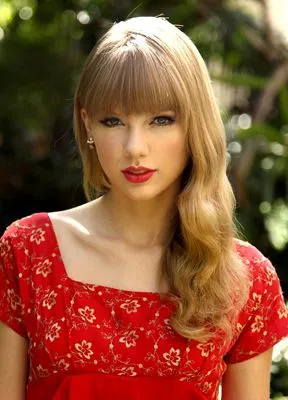 Taylor Swift 14x17