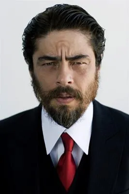 Benicio del Toro Poster