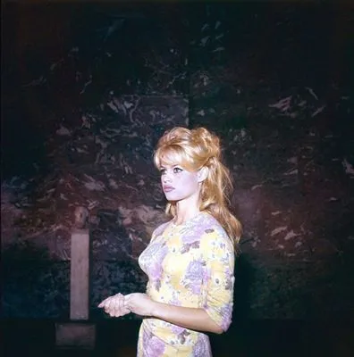 Brigitte Bardot Poster