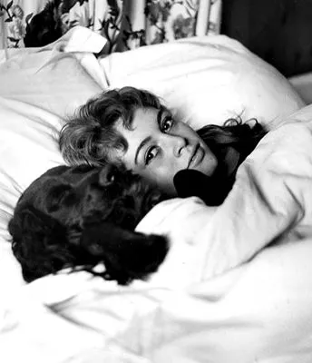 Brigitte Bardot Pillow