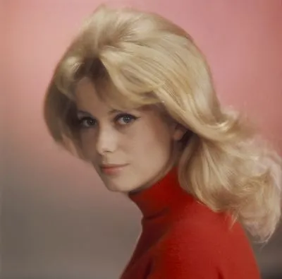 Catherine Deneuve Poster