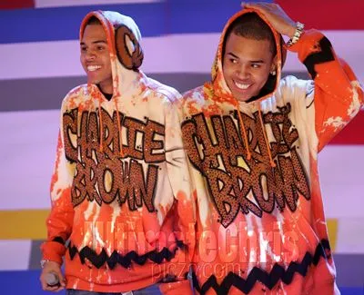 Chris Brown 11oz Metallic Silver Mug