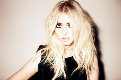 Taylor Momsen Poster