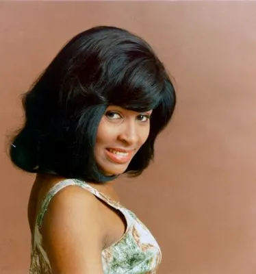 Tina Turner 14x17