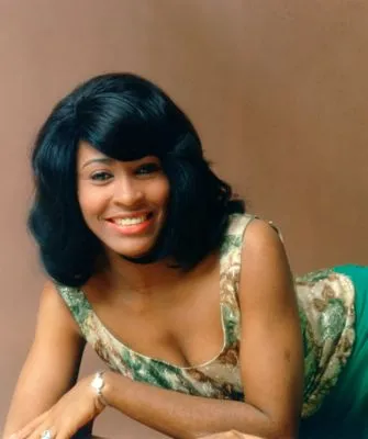 Tina Turner 14x17