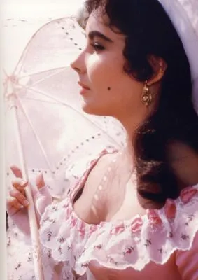 Elizabeth Taylor Poster