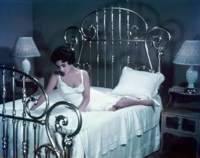 Elizabeth Taylor Metal Wall Art