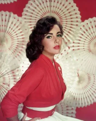 Elizabeth Taylor Poster