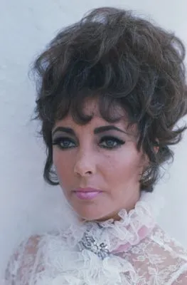 Elizabeth Taylor Metal Wall Art