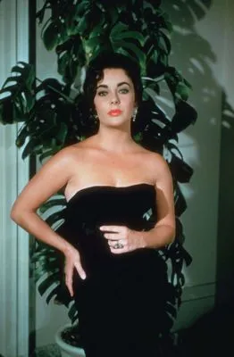 Elizabeth Taylor Metal Wall Art