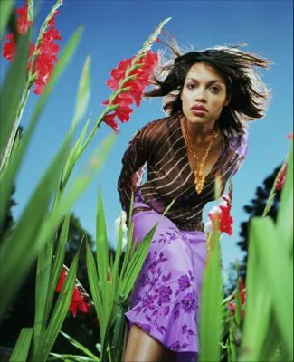 Rosario Dawson Poster