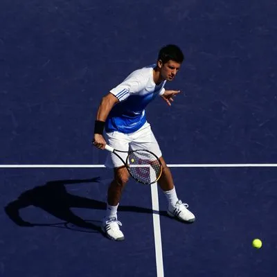 Novak Djokovic Prints and Posters