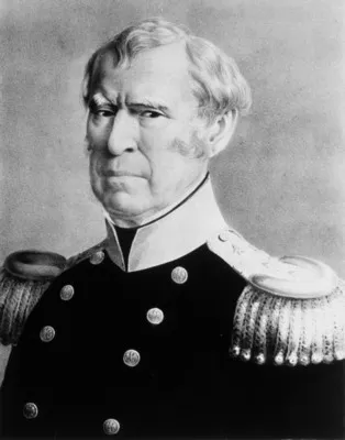 Zachary Taylor Prints and Posters